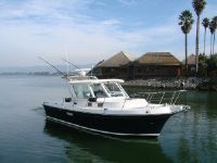 Albin Tournament Express