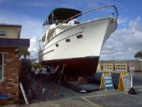 De Fever Trawler