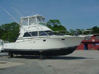 Bertram 38 Iii Convertible