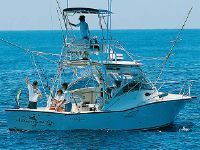 Albemarle 320 Express Fisherman