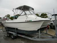 Kevlacat Series 2000