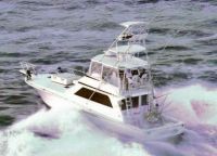 Viking Sportfish - Convertible