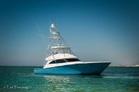 Viking 55 Convertible (Vk55-420)