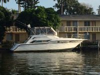 Cruisers 46