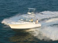 Luhrs 31 Open