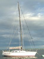 Express 37