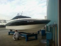 Bayliner 245 Bowrider
