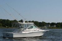 Cabo Rico 35 Express Fish