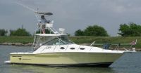 Wellcraft 330 Coastal (Pje)