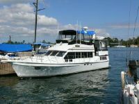 Custom Light Trawler