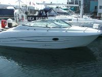 Sessa Islamorada 23