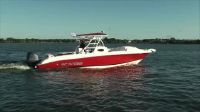 Wellcraft 30 Scarab Sport