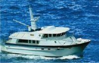 Integrity 496 Ce