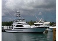 Striker 62' Convertible