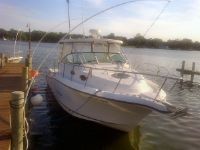 Striper 2901 Walk Around O/B (Twin Engine)