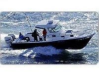 True World Marine Te289