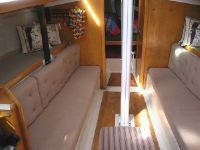 Schock 35