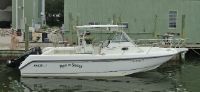 Boston Whaler 290 Outrage