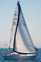 Northern 29