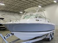 Wellcraft 210 Coastal