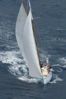 Alwyn Enoe Carriacou