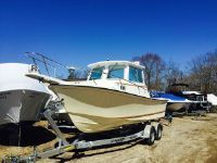 Steiger 21 Dv Miami Or Chesepeake