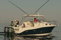 Seaswirl 2901 Walkaround O/B