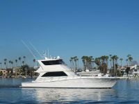 Viking Boats 58' Viking Enclosed Bridge