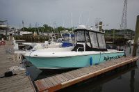 Blue Fin Pro Fish 250 Cc