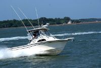 Grady-White 282 Sailfish Wa