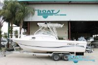 Pro Line 23Ft Walk Around