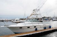 Aquasport 290 Tournament Master