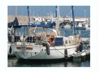 Belliure Belliure 41