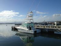 Cabo Rico 36 Express