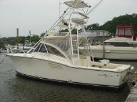 Albemarle 305 Diesel Express