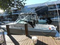 Stamas 320 Express Diesel