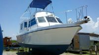 Defender 42