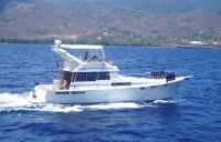 Bayliner 38