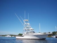 Blackfin Combi Diesel With Tower