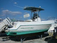 Aquasport 250 Center Console