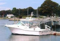 Cabo Rico 31 Express Fish