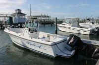 Bayliner Trophy 2503 Cc