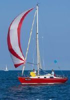 Contessa 26