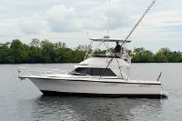 33 Phoenix New Engines 2008