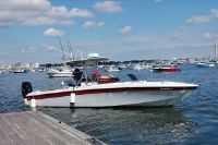 Wellcraft Scarab 302 Sport