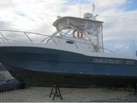 Barco Usado Quicksilver 900