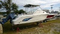 Robalo R 245