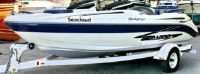 Sea-Doo Challenger 2000