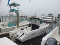 Seaswirl Striper 2601 Walkaround