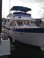 Marine Trader Trawler
